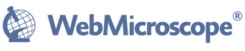 WMlogoweb